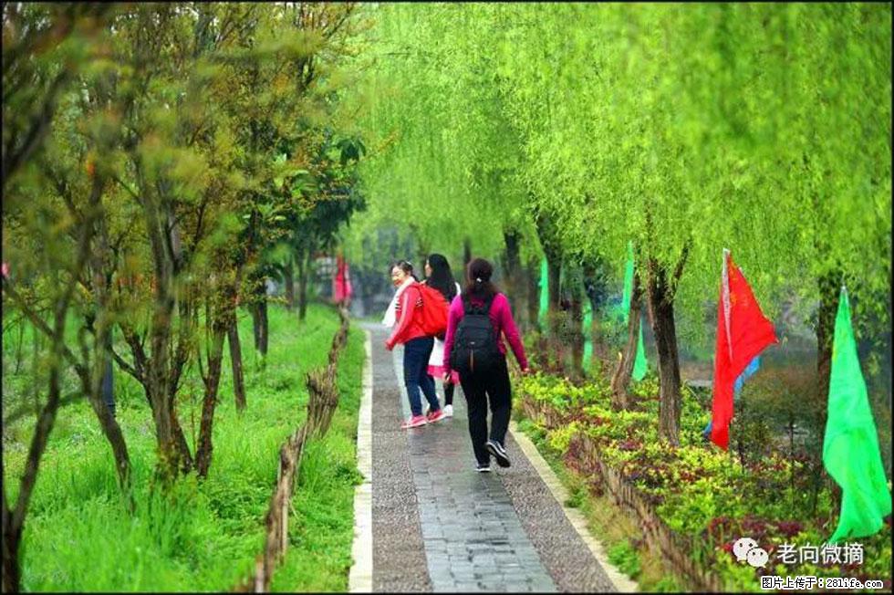 【春天,广西桂林灌阳县向您发出邀请!】江口老街又逢春 - 游山玩水 - 双鸭山生活社区 - 双鸭山28生活网 sys.28life.com