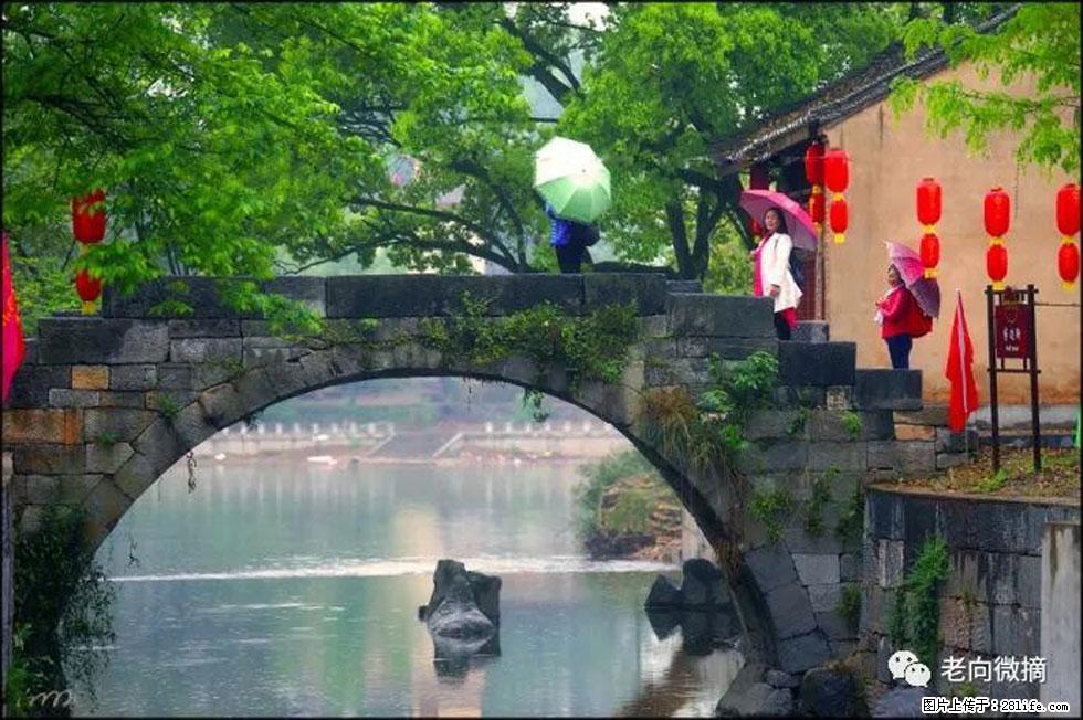 【春天,广西桂林灌阳县向您发出邀请!】江口老街又逢春 - 游山玩水 - 双鸭山生活社区 - 双鸭山28生活网 sys.28life.com