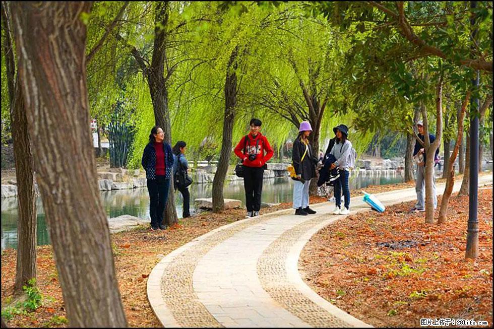 【春天,广西桂林灌阳县向您发出邀请!】江口老街又逢春 - 游山玩水 - 双鸭山生活社区 - 双鸭山28生活网 sys.28life.com