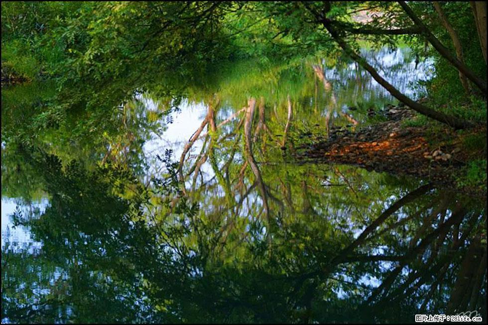 【春天,广西桂林灌阳县向您发出邀请!】熊家寨湿地公园 - 游山玩水 - 双鸭山生活社区 - 双鸭山28生活网 sys.28life.com