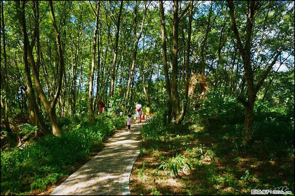 【春天,广西桂林灌阳县向您发出邀请!】熊家寨湿地公园 - 游山玩水 - 双鸭山生活社区 - 双鸭山28生活网 sys.28life.com
