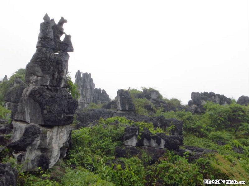 桂林旅游名城景点：灌阳文市石林 - 游山玩水 - 双鸭山生活社区 - 双鸭山28生活网 sys.28life.com
