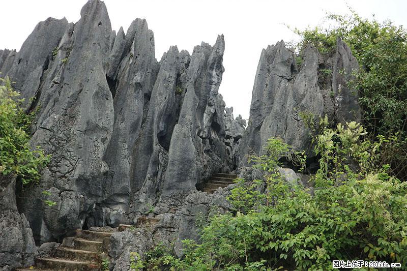 桂林旅游名城景点：灌阳文市石林 - 游山玩水 - 双鸭山生活社区 - 双鸭山28生活网 sys.28life.com
