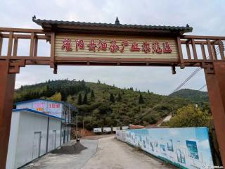 【灌阳县油茶产业示范区】一个有着充实的精神生活的人,对待身外之物自会有一种淡泊的态度 - 双鸭山28生活网 sys.28life.com