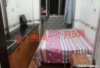 (单间出租)单间出租,三利农贸市场道下,龙祥小区14号,拎包入住 - 双鸭山28生活网 sys.28life.com