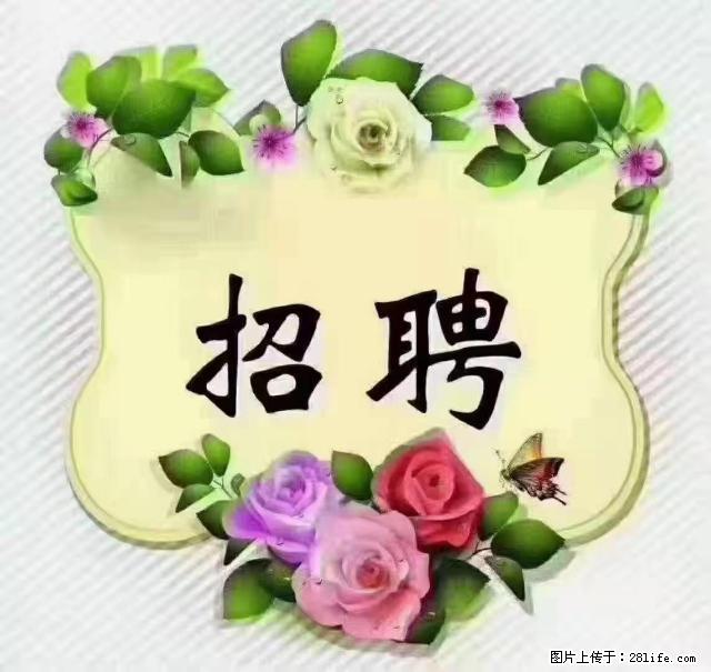 【招聘】住家育儿嫂,上户日期:4月4日,工作地址:上海 黄浦区 - 职场交流 - 双鸭山生活社区 - 双鸭山28生活网 sys.28life.com