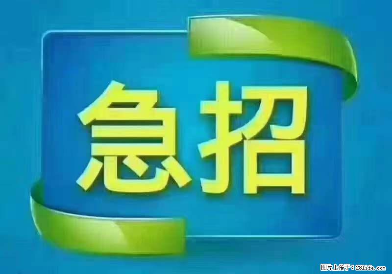 招出纳8000元/月,无证可以,要有相关经验,上海五险一金,包住,包工作餐,做六休一。 - 职场交流 - 双鸭山生活社区 - 双鸭山28生活网 sys.28life.com