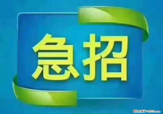 招出纳8000元/月，无证可以，要有相关经验，上海五险一金，包住，包工作餐，做六休一。 - 双鸭山28生活网 sys.28life.com