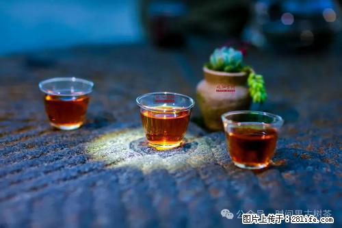 时间果百年古树2025年春红茶 - 购物交流 - 双鸭山生活社区 - 双鸭山28生活网 sys.28life.com