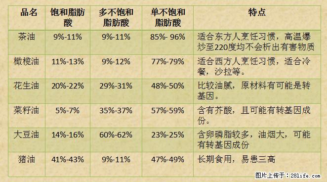 揭秘茶油的5大核心营养成分!被称为人体健康的“守护盾”! - 双鸭山生活资讯 - 双鸭山28生活网 sys.28life.com