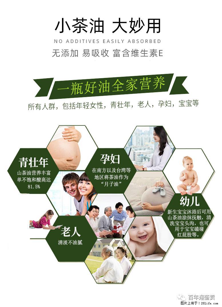 世界没有真相,只有认知,最好的食用油是中国的山茶油! - 双鸭山生活资讯 - 双鸭山28生活网 sys.28life.com