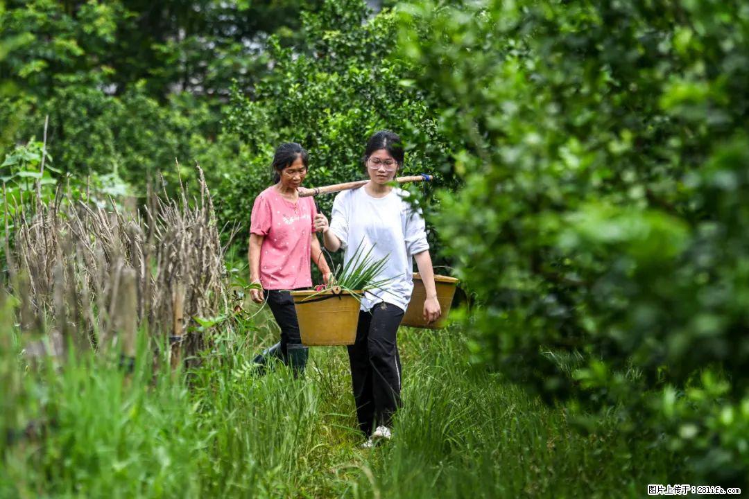 全网追的“扁担女孩”,找了一份暑假工,时薪12元 - 双鸭山生活资讯 - 双鸭山28生活网 sys.28life.com