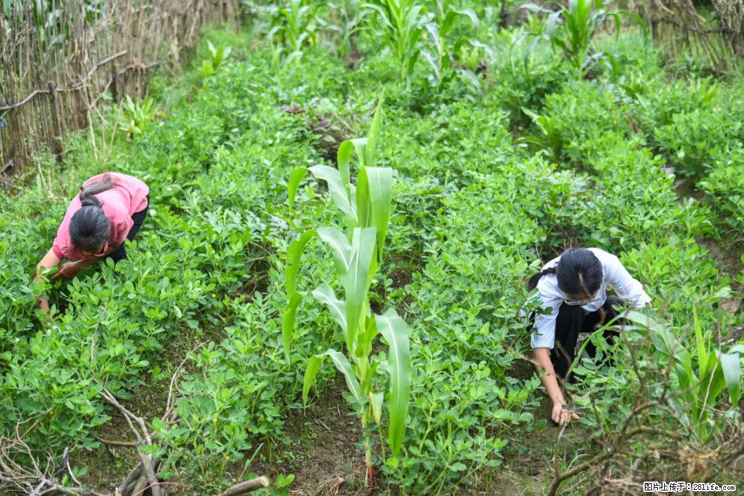 全网追的“扁担女孩”,找了一份暑假工,时薪12元 - 双鸭山生活资讯 - 双鸭山28生活网 sys.28life.com