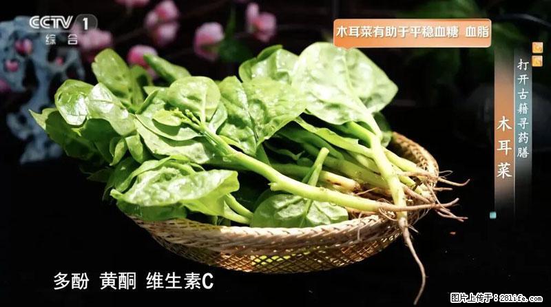比牛奶补钙还厉害！凉血解毒、稳血糖...这菜冬天必吃，很多人却当草 - 双鸭山生活资讯 - 双鸭山28生活网 sys.28life.com