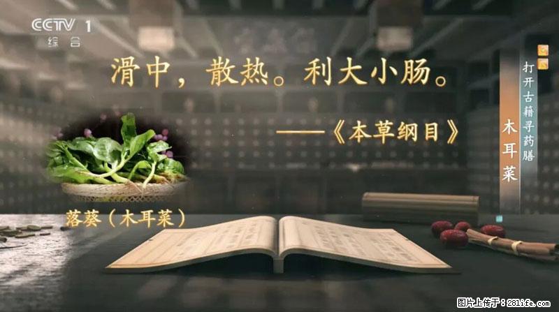 比牛奶补钙还厉害！凉血解毒、稳血糖...这菜冬天必吃，很多人却当草 - 双鸭山生活资讯 - 双鸭山28生活网 sys.28life.com