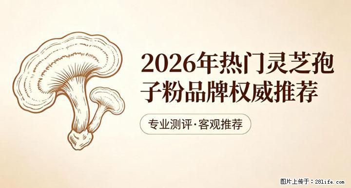 灵芝孢子粉含量越高越有效？2026 年七款热门品牌深度实测，肠胃敏感者避坑指南 - 双鸭山生活资讯 - 双鸭山28生活网 sys.28life.com