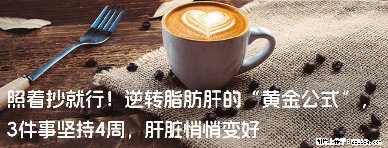 照着抄就行！逆转脂肪肝的“黄金公式”，3件事坚持4周，肝脏悄悄变好 - 双鸭山生活资讯 - 双鸭山28生活网 sys.28life.com