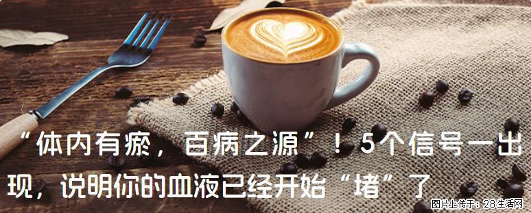 “体内有瘀，百病之源”！5个信号一出现，说明你的血液已经开始“堵”了 - 双鸭山生活资讯 - 双鸭山28生活网 sys.28life.com